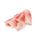 MODELO Borcego (66).webp