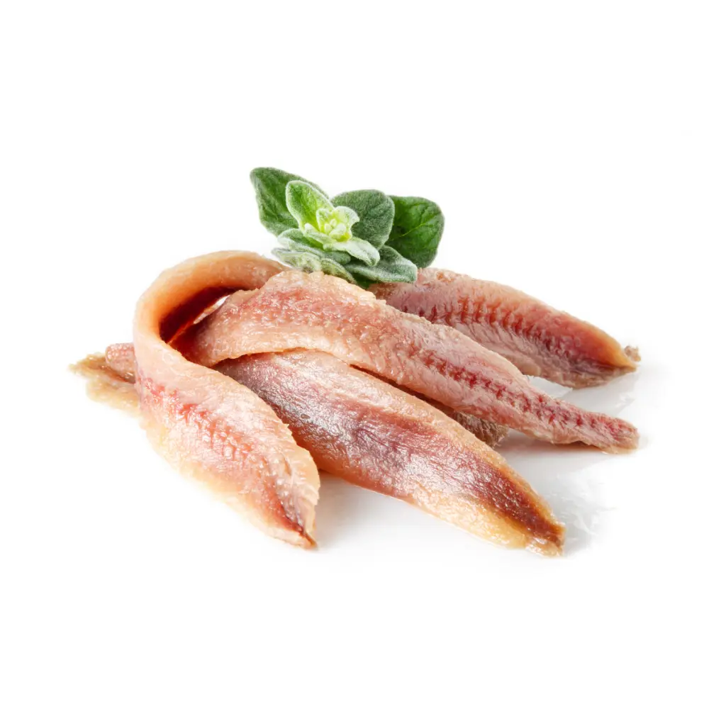 Sin título - 12 de octubre de 2023, 07.36.43 (15).webp