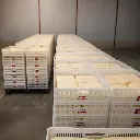 Publicidad 4 (1).webp