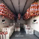 Sin título - 05 de octubre de 2025, 20.14.11 - 2026-01-06T181402.162.webp