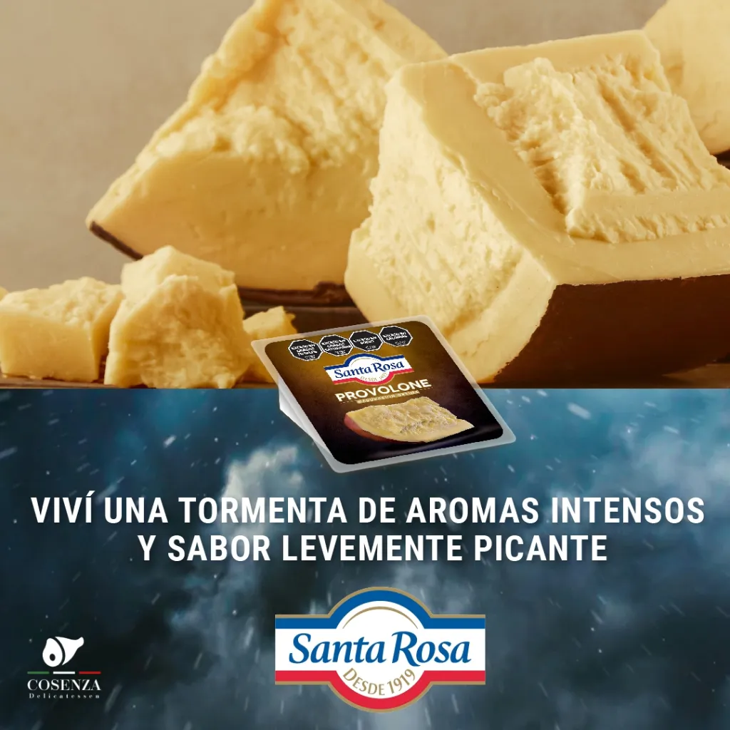 Sin título - 2026-01-18T204328.501.webp