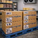 Sin título - 05 de octubre de 2025, 20.14.11 - 2026-01-21T091713.983.webp