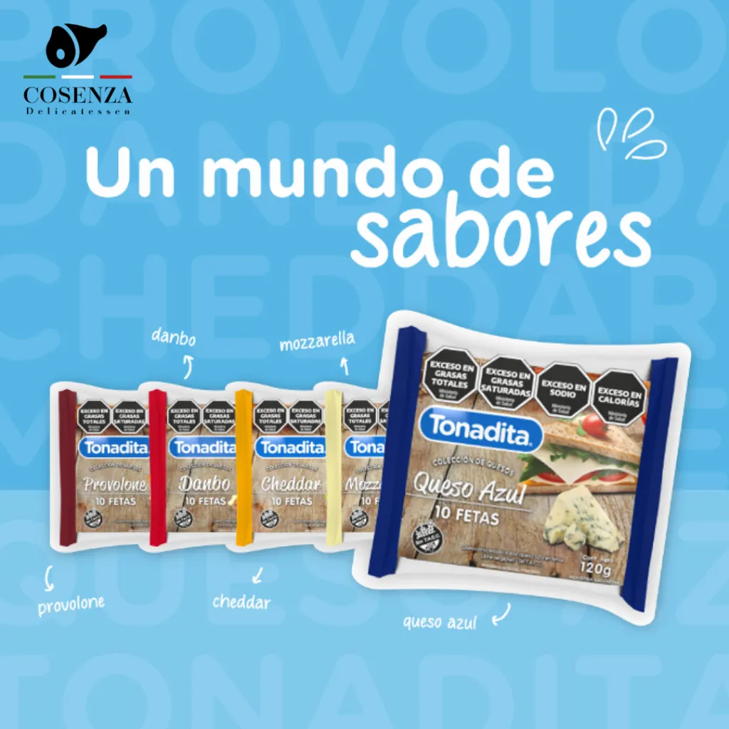 Sin título - 2026-01-28T200355.769.webp