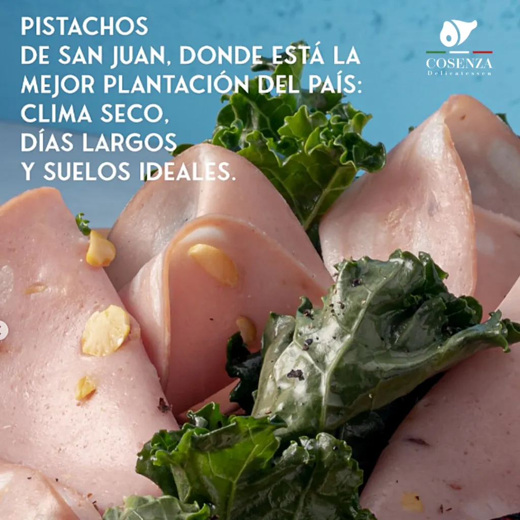 Sin título (19).webp