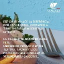 Sin título (20).webp