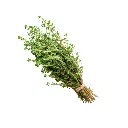 Foto ML (31) (2).webp