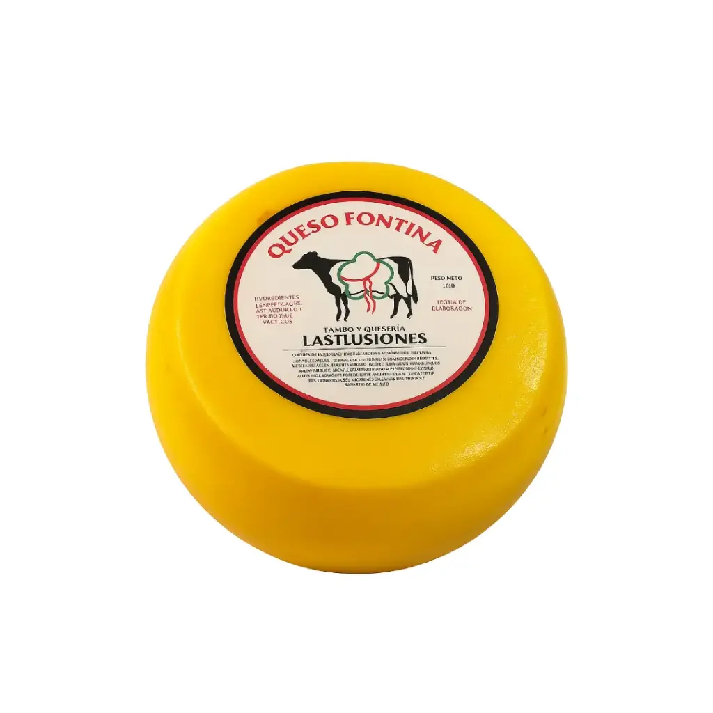 Queso Fontina Artesanal x 7Kg. Q186