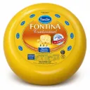 Queso Fontina Sancor x 5.50 Kg. Q205