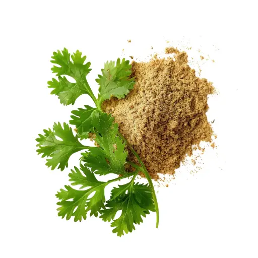 [E017] Condimento Coriandro En Polvo x 1Kg. 